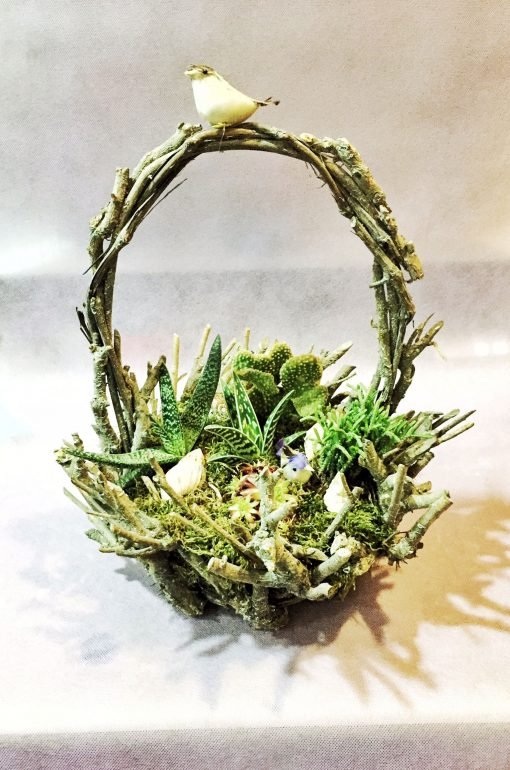 Terrarium Botanik 1